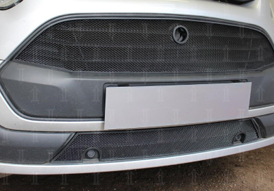 Ford Tourneo Custom (13–) Защита радиатора, чёрная, низ