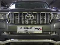 Toyota Land Cruiser Prado J150 (17-н.в.) Решетка радиатора нижняя 12 мм