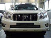 Toyota Land Cruiser Prado (09–12) Защита радиатора, хром
