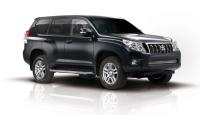 Toyota Land Cruiser Prado (09–) Решетка в передний бампер, с сеткой (полир. нерж.)
