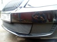 Skoda Octavia (13–) Защита радиатора Premium, хром (Ambition-Elegance)