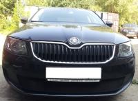 Skoda Octavia (13–) Защита радиатора, чёрная