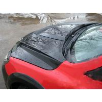 Пластиковый капот Rieger Line на Ford Focus 2