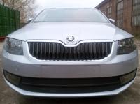Skoda Octavia (13–) Защита радиатора, чёрная