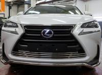 Lexus NX (14–) Защита переднего бампера одинарная d 42 мм, нерж.