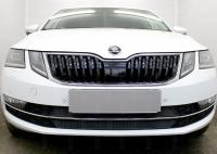 Skoda Octavia (17–) Защита радиатора, чёрная