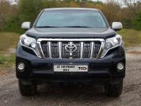 Toyota Land Cruiser Prado (13–17) Решетка радиатора внутренняя (лист)