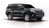 Toyota Land Cruiser Prado (09–) Решетка в передний бампер, вертикальные полосы (полир. нерж.)