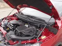 Nissan Qashqai (14–) Упор капота (комплект)