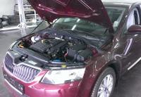 Skoda Octavia (13–) Упор капота (комплект 2 шт.)