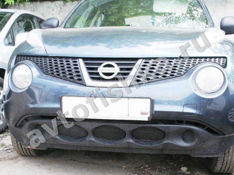 nissan juke 2010