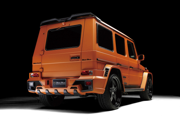 Обвес Black Bison на MB G Class W463 от Wald