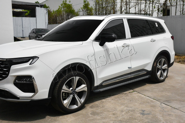 Ford Equator 2021 штатные пороги (подножки) боковые