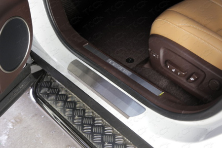 Lexus RX (16–) Накладки на пороги (лист шлифованный)