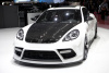 Panamera 970 (09-) Аэродинамический обвес Mansory (тюнинг комплект)