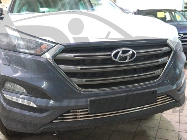 Hyundai Tucson (16–) Решетка переднего бампера, нерж. d12