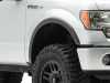 Ford F150 (09-14) расширители арок (фендеры) штатные выступ  3 см