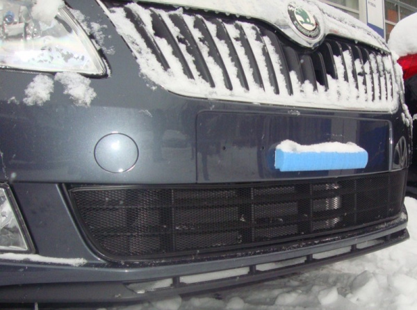 Skoda Fabia (11–) Защита радиатора, чёрная