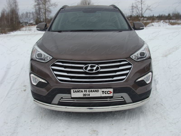 Hyundai Grand Santa Fe (13–) Защита передняя нижняя (овальная) 75х42 мм