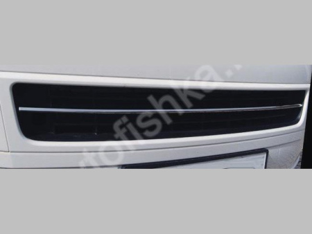 Volkswagen Multivan T5 (2010-) защита радиатора нижняя, вставка в бампер, из нержавеющей стали