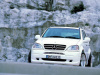 Mercedes ML-Class W163 (97-01) Накладка WALD на передний бампер