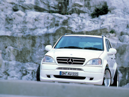Mercedes ML-Class W163 (97-01) Накладка WALD на передний бампер