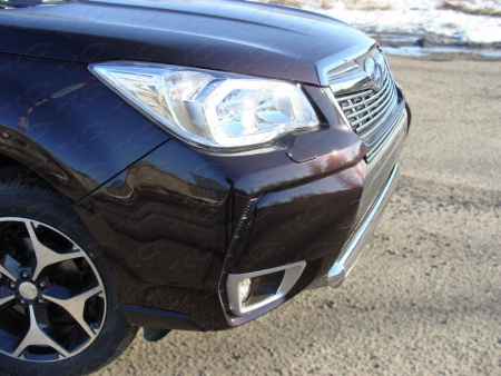 Subaru Forester (13–) Защита передняя (овальная короткая) 75х42 мм