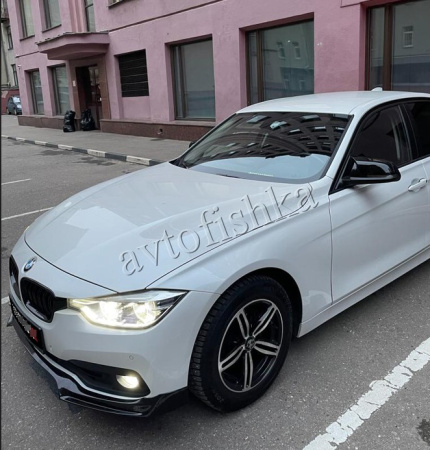 BMW 3 серия (2015-) F30 Сплиттер переднего бампера Sport,Luxury
