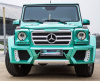 Комплект Black Bison на Mercedes G Class W463 Wald