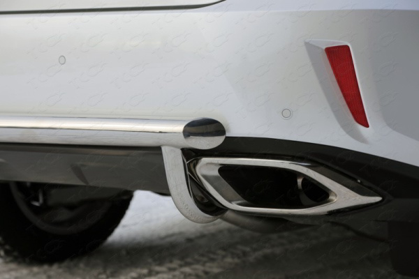 Lexus RX (16–) Защита задняя (центральная) 60,3/42,4 мм