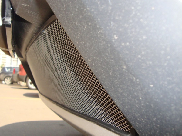 Renault Duster (11–14) Защита радиатора, хром