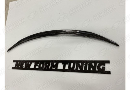 Mercedes-Benz CLS-Klasse C257 2017 - н.в. Спойлер 5.3 AMG карбон