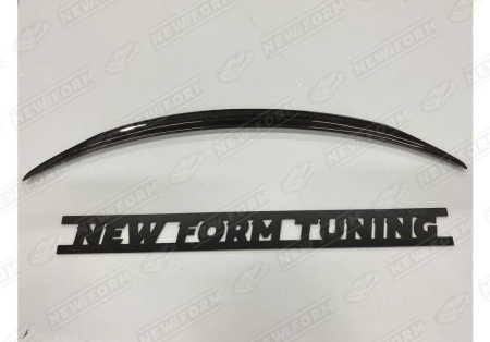 Mercedes-Benz CLS-Klasse C257 2017 - н.в. Спойлер 5.3 AMG карбон