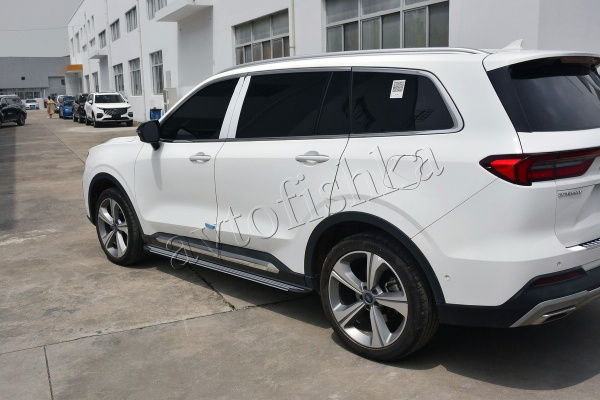 Ford Equator 2021 штатные пороги (подножки) боковые