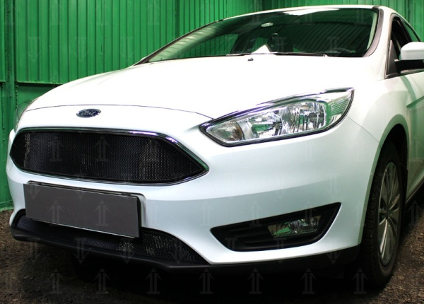 Ford Focus (15–) Защита радиатора, чёрная, низ