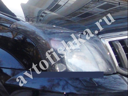 Защита передних фар карбон Toyota RAV4 2004-2005