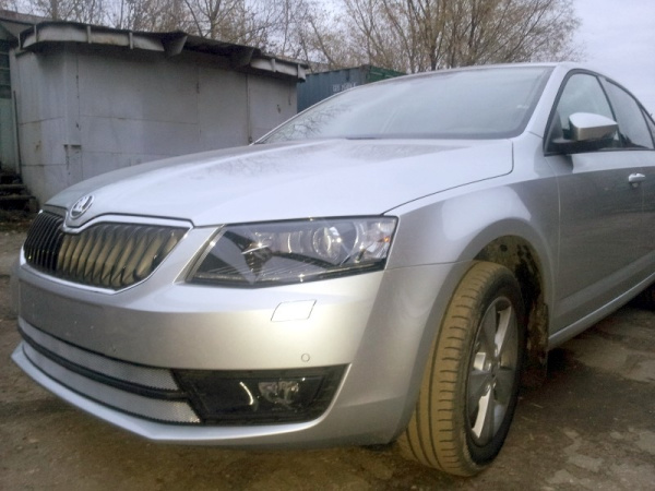 Skoda Octavia (13–) Защита радиатора, хром