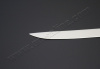 Renault Sandero (14–) Накладка на нижнюю кромку крышки багажника, нерж., 1 часть