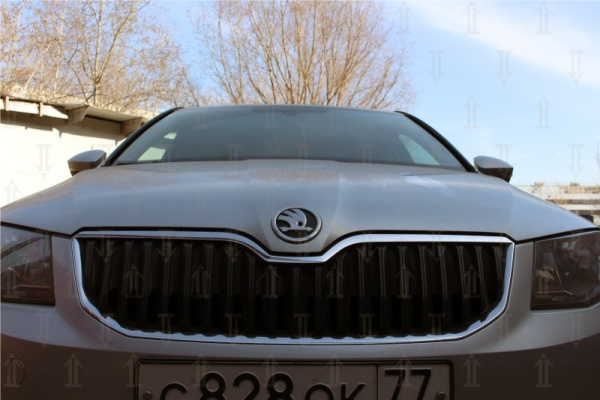 Skoda Octavia (13–) Дефлектор лобового стекла