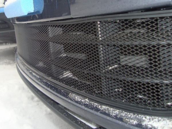 Skoda Fabia (11–) Защита радиатора, чёрная