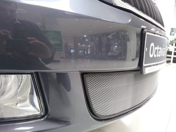 Skoda Octavia (09–12) Защита радиатора, хром