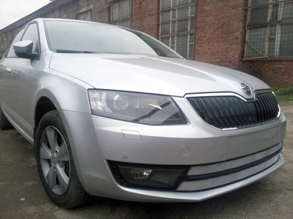 Skoda Octavia (13–) Защита радиатора, хром