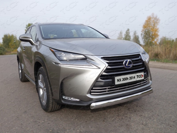Lexus NX (14–) Защита передняя нижняя (овальная) 75х42 мм
