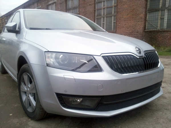 Skoda Octavia (13–) Защита радиатора, чёрная