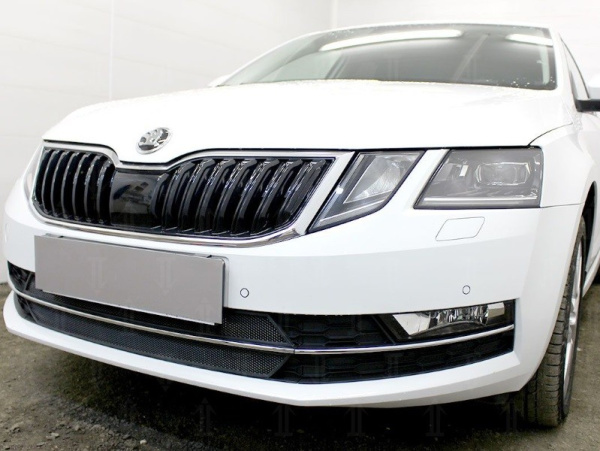 Skoda Octavia (17–) Защита радиатора, чёрная