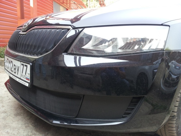 Skoda Octavia (13–) Защита радиатора, чёрная