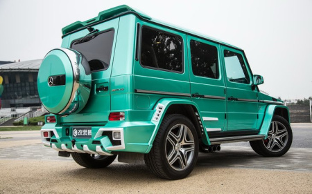 Комплект Black Bison на Mercedes G Class W463 Wald