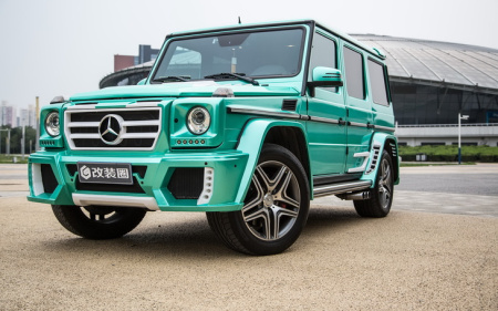 Комплект Black Bison на Mercedes G Class W463 Wald