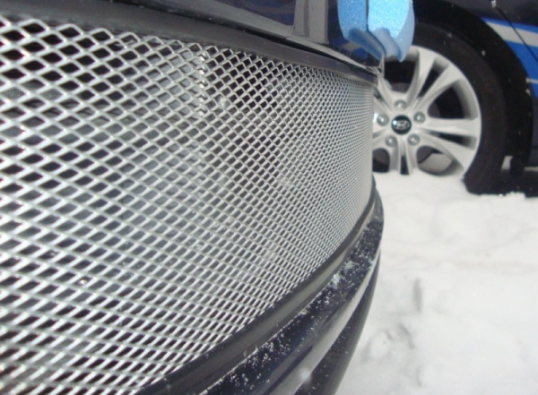 Skoda Fabia (11–) Защита радиатора, хром