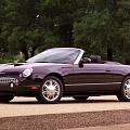 Ford Thunderbird XI 2001–2005